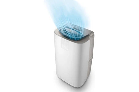 Climatiseur mobile Delonghi PACAP98GENTLEJET