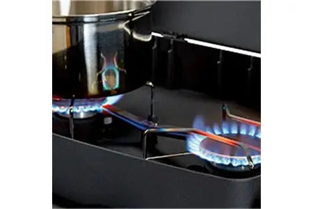 Barbecue Enders à Gaz Urban Pro - 2 Brûleurs Inox - Surface De Cuisson 48 X 32 cm