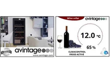Cave de vieillissement Avintage DVA265P