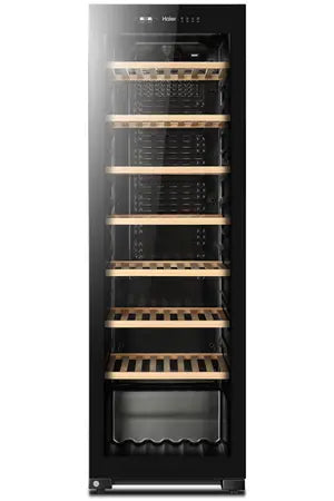 Cave de vieillissement Haier WS171GA