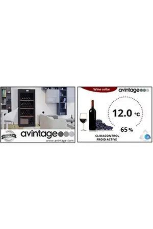 Cave multi-températures Avintage DVA305G