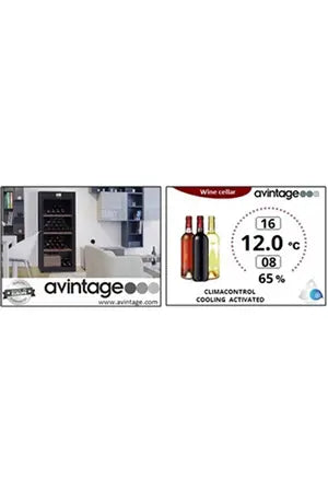 Cave multi-températures Avintage DVP305G