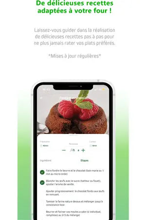 Four encastrable Sauter SOP6417LX