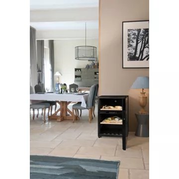 Cave à fromages							LA SOMMELIERE				CAF52