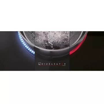 Table induction							ELECTROLUX				BIT60336BK H2H