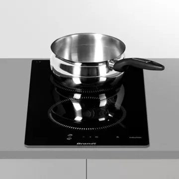 Domino induction							BRANDT				BPI3329B