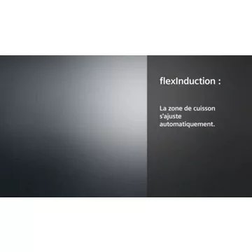 Domino induction							SIEMENS				EX375FXB1H