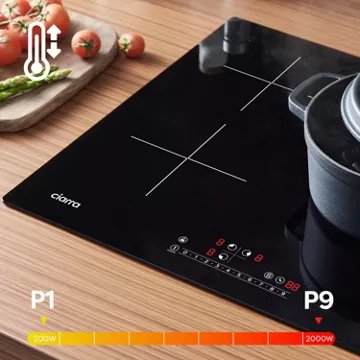 Table induction							CIARRA				CD3BBIH