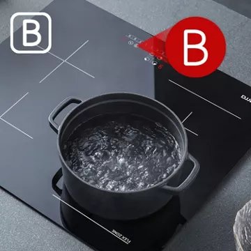 Table induction							CIARRA				CD4BFBIH