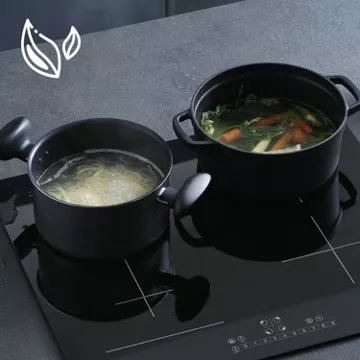 Table induction							CIARRA				CD4BFBIH