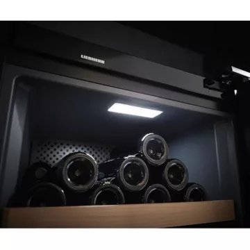 Cave à vin vieillissement							LIEBHERR				WKP166