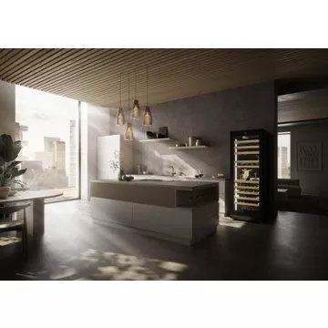 Cave à vin polyvalente							LIEBHERR				WPgbi7483