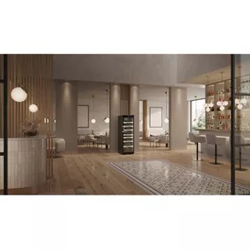 Cave à vin vieillissement							LIEBHERR				WFBLI5241-20