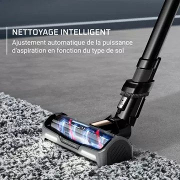 Aspirateur balai							ROWENTA				X-force Flex 15.60 RH99F3WO