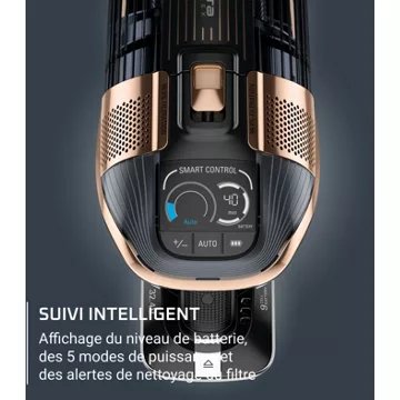 Aspirateur balai							ROWENTA				X-force Flex 15.60 RH99F3WO