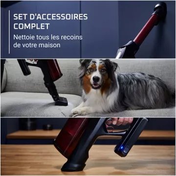 Aspirateur balai							ROWENTA				X-force Flex 13.60 animal RH9A73WO