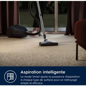 Aspirateur avec sac							ELECTROLUX				Pure D8 PD82-4ST