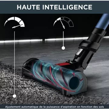 Aspirateur balai							ROWENTA				X-Force Flex 12.60 Aqua 4-en-1 RH98C0WO