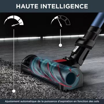 Aspirateur balai							ROWENTA				X-Force Flex 12.60 Aqua 4-en-1 RH98C0WO
