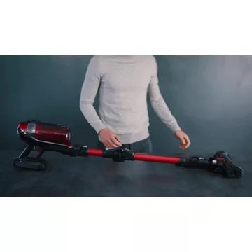 Aspirateur balai							ROWENTA				X-Force Flex 12.60 Aqua 4-en-1 RH98C0WO