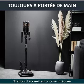 Aspirateur balai							ROWENTA				X-Force Flex 15.60 RH99F1WO