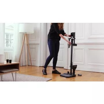 Aspirateur balai							ROWENTA				X-Force Flex 15.60 RH99F1WO