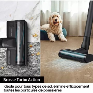 Aspirateur balai							SAMSUNG 				Jet 75E Pet VS20B75BGR4