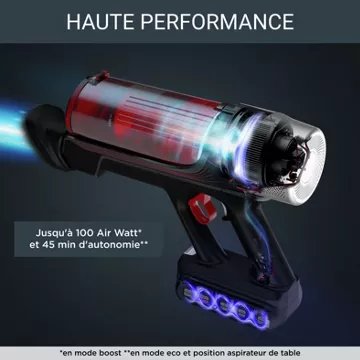 Aspirateur balai							ROWENTA				X-Force Flex 9.60 Kit Animal RH2079WO