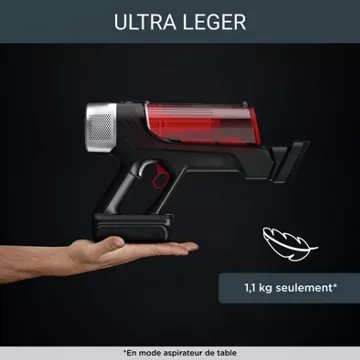 Aspirateur balai							ROWENTA				X-Force Flex 9.60 Kit Animal RH2079WO