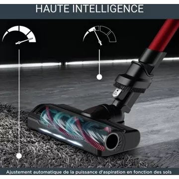 Aspirateur balai							ROWENTA				X-Force Flex 9.60 Kit Animal RH2079WO