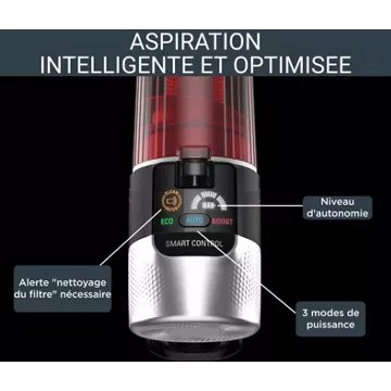 Aspirateur balai							ROWENTA				X-Force Flex 9.60 Kit Animal RH2079WO