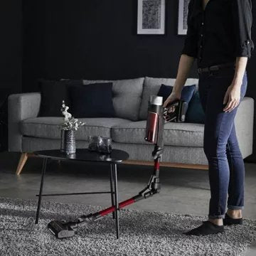 Aspirateur balai							ROWENTA				X-Force Flex 9.60 Kit Animal RH2079WO