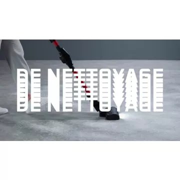 Aspirateur balai							ROWENTA				X-Force Flex 9.60 Kit Animal RH2079WO