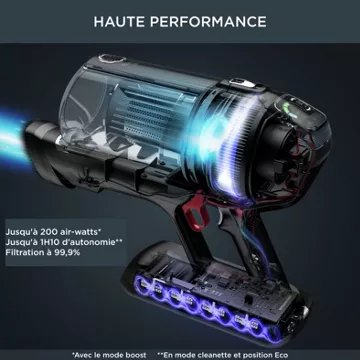 Aspirateur balai							ROWENTA				X-Force Flex 14.60 Kit Animal RH99A9WO