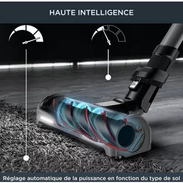 Aspirateur balai							ROWENTA				X-Force Flex 14.60 Kit Animal RH99A9WO