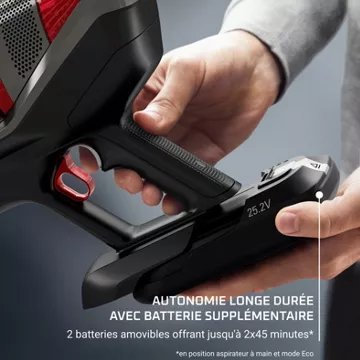 Aspirateur balai							ROWENTA				X-force Flex 12.60 Animal Care RH98A3WO