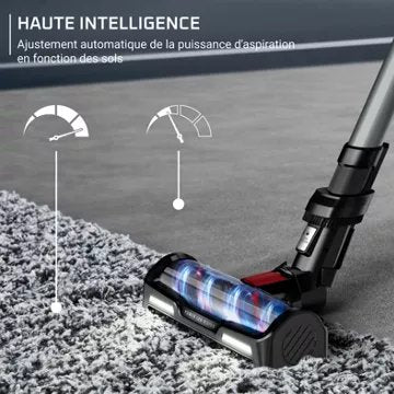 Aspirateur balai							ROWENTA				X-force Flex 12.60 Animal Care RH98A3WO