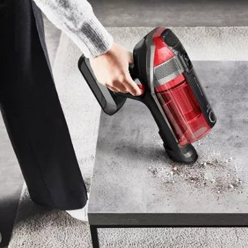 Aspirateur balai							ROWENTA				X-force Flex 12.60 Animal Care RH98A3WO