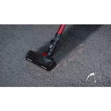 Aspirateur balai							ROWENTA				X-force Flex 12.60 Animal Care RH98A3WO