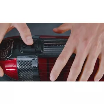 Aspirateur balai							ROWENTA				X-force Flex 12.60 Animal Care RH98A3WO