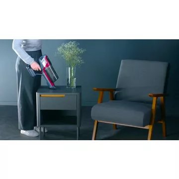 Aspirateur balai							ROWENTA				RH6472WO X-PERT 6.60 Smart modele animal