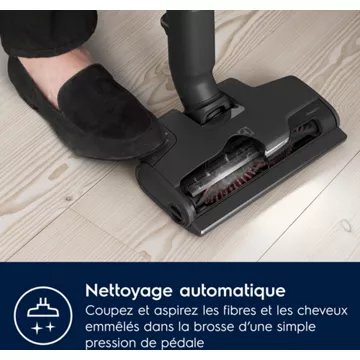 Aspirateur balai							ELECTROLUX				800 EP81UB25SH