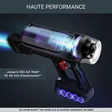 Aspirateur balai							ROWENTA				X-Force Flex 9.60 Kit Allergie RH2039WO