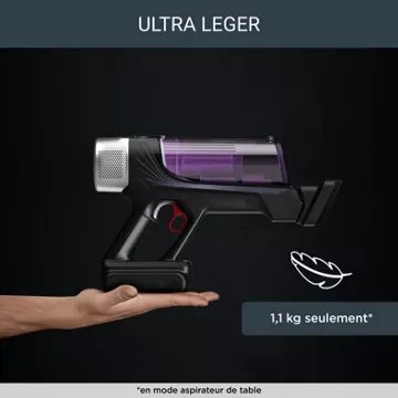 Aspirateur balai							ROWENTA				X-Force Flex 9.60 Kit Allergie RH2039WO