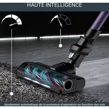 Aspirateur balai							ROWENTA				X-Force Flex 9.60 Kit Allergie RH2039WO