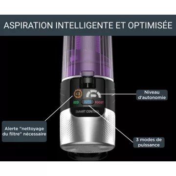 Aspirateur balai							ROWENTA				X-Force Flex 9.60 Kit Allergie RH2039WO