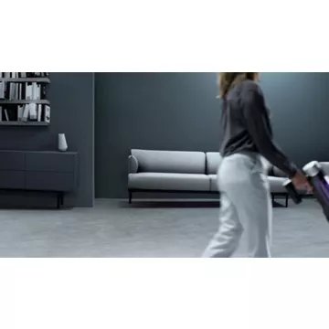 Aspirateur balai							ROWENTA				X-Force Flex 9.60 Kit Allergie RH2039WO