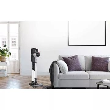 Aspirateur balai							LG				CordZero A9 Kompressor A9K-CORE1S