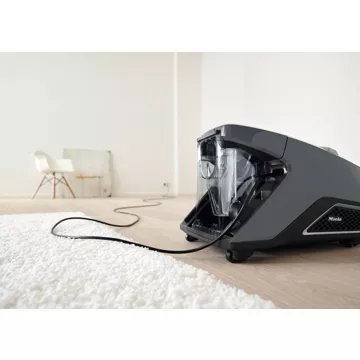 Aspirateur sans sac							MIELE				Blizzard cat and dog Flex Powerline