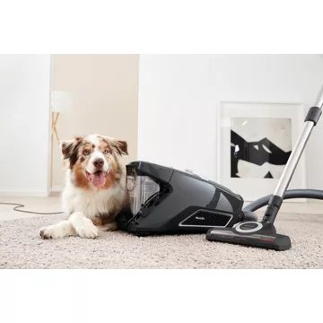 Aspirateur sans sac							MIELE				Blizzard cat and dog Flex Powerline